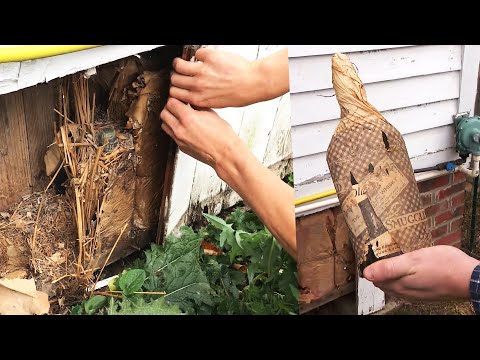 Bootlegger’s Whisky Stash Found by Couple Renovating House