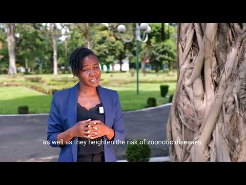 The WHO’s “Healthy Food Market” initiative, explained by Lusubilo Mwamakamba