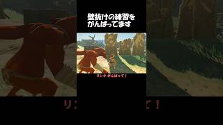 壁抜けの練習をがんばっています #ゼルダの伝説 #ブレワイ