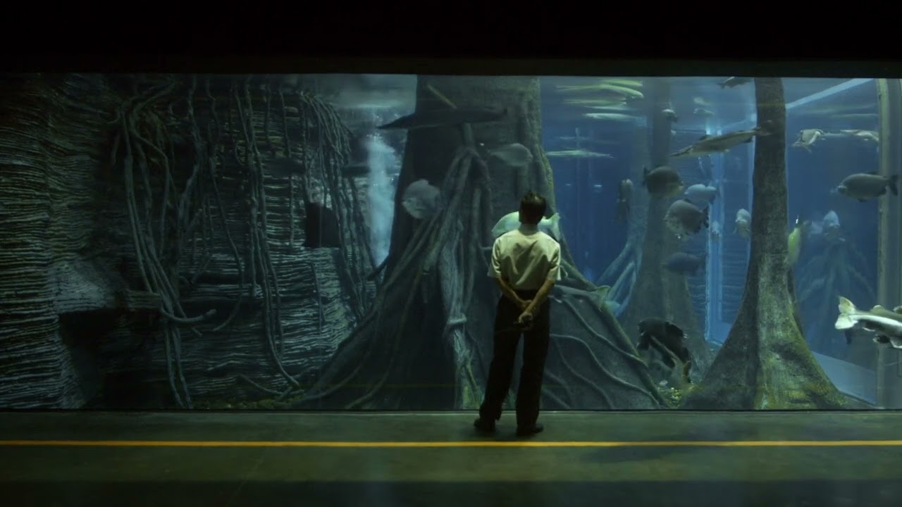 Hot Docs 2022 Trailer: (NO SUBJECT)