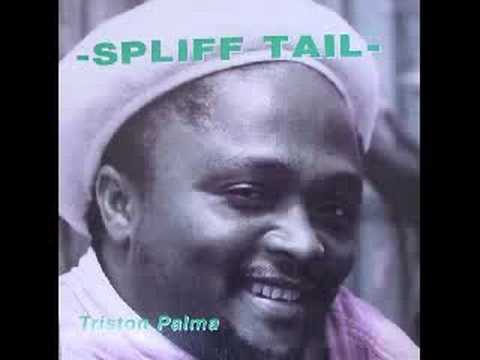 Triston Palmer - Spliff tail