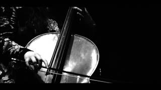 The April Maze - Tumble Weed