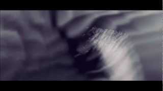 Shine a light LYRICS - Reverend and the makers