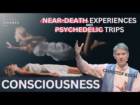 The Latest Research on Consciousness