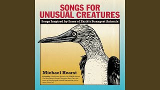 March Of The Unusual Creatures