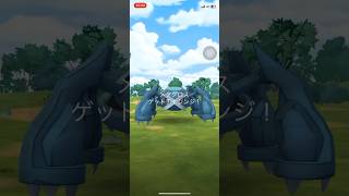 ポケモンGOレイドバトルメタグロスゲットできたかな？ #ポケgo #pokemongo #ポケモンgo #pokemon #ポケゴー #ポケモン #shorts#short #メタグロス