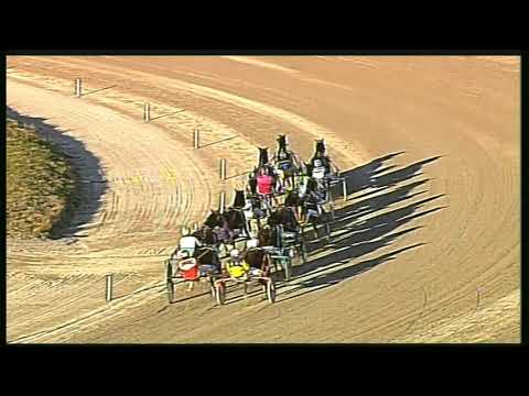 Trotto 16/02/2020 - 4ª corsa