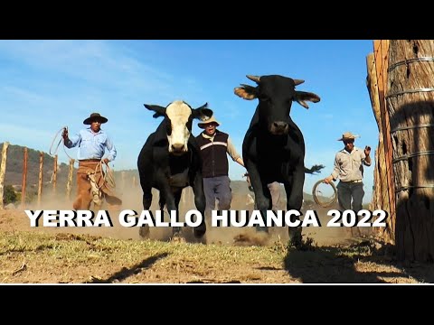 YERRA GALLO HUANCA 2022