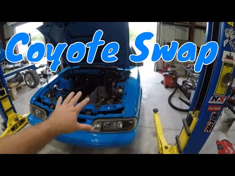 Budget Coyote Swap Part 1 -  How To Coyote Swap - The Basics