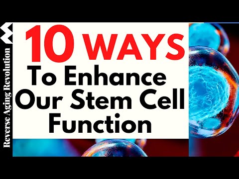 10 WAYS TO ENHANCE OUR STEM CELL FUNCTION