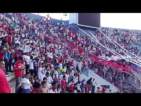 "Â¿Cómo Te Va Kute?" Barra: La Ultra Fiel • Club: Club Deportivo Olimpia