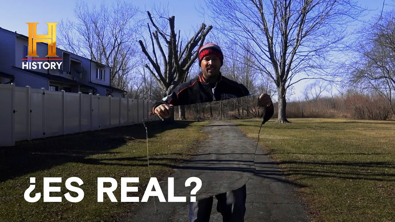 Animales detenidos y capas invisibles - LA EVIDENCIA ESTÁ ENTRE NOSOTROS