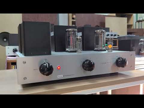 [TEST] DIY RS1003 SINGLE AMP (2)