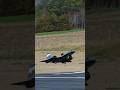 SR 71 Blackbird Landing Aviation Rc Rcplane