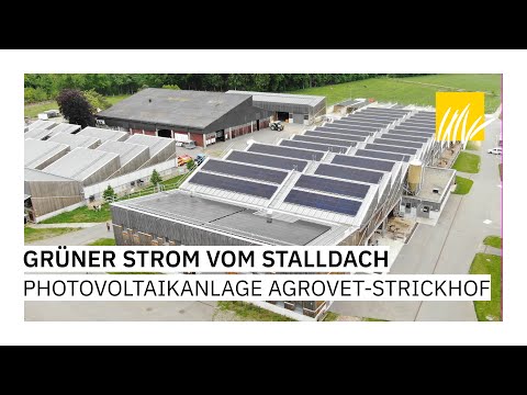 Photovoltaik-Anlage AgroVet-Strickhof