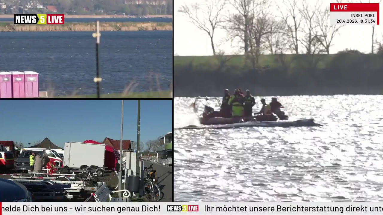 LIVE: Buckelwal Hope Timmy vor der Insel Poel - Tag 29