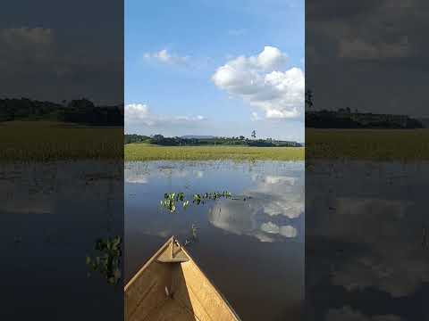 pescador # história de pescador # Pantanal # Minas gerais # Ubatuba