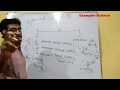 Motion Class 9th Q A Session 1 Study With Mayank Sir