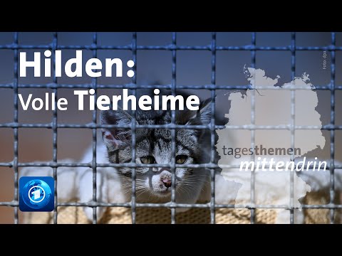 Hilden: Tier abzugeben - aus Geldnot | tagesthemen mittendrin