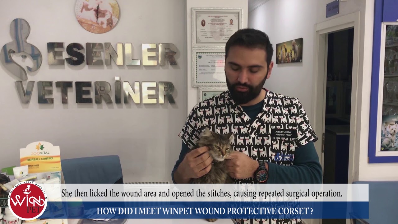 Veterinian  Dr.Hasan DOGAN ( Esenler Veterinary Clinic)