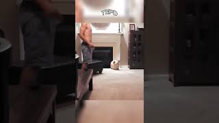 Este gato deu muito azar 😅🐱