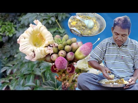 Herbal Cori connai , tetu ( Shyonaka) flower cooking..