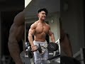 Total Shoulder Workout 💀 Routine in description