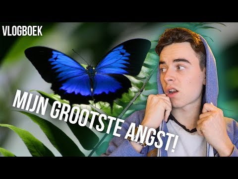 MIJN GROOTSTE ANGST | VLOGBOEK 12
