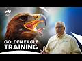 Majestic Golden Eagle Training At The Bronx Zoo The Zoo S2 Ep8 Animal Planet India