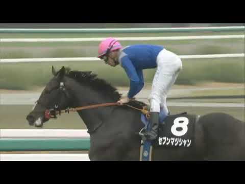 2022.11.13 Kigiku Sho (JPN) - Seven Magician