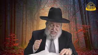 דף היומי בחצי שעה - יבמות  דף ס'