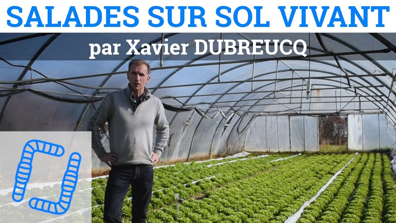 Salades sur Sol Vivant avec Xavier DUBREUCQ