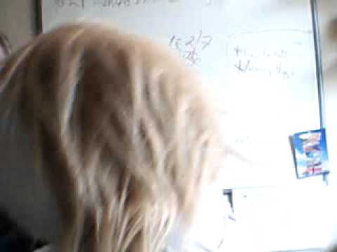 Nettie - Act 2 - Great great brill brill anthem