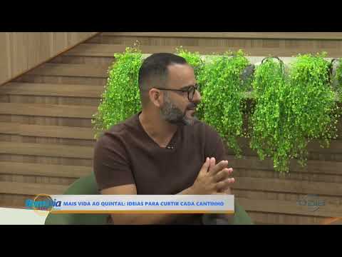 O Dia TV