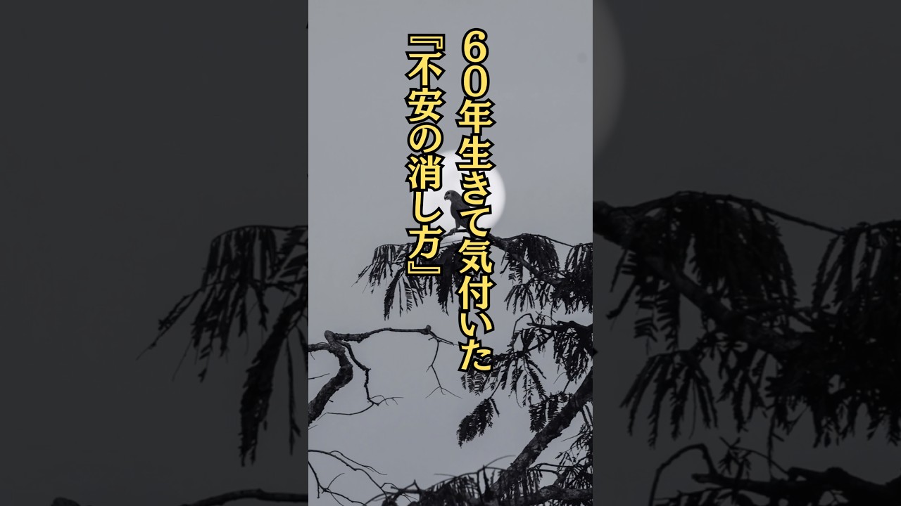 『不安の消し方』#名言#名言集 #心に響く言葉