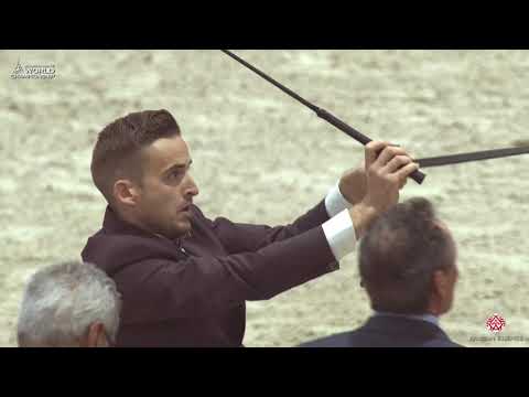 N 27 AROUB AL HAMAD   Paris 2019   Yearling Fillies Class 1B