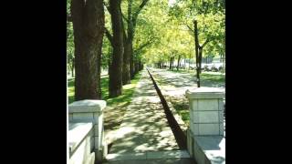 L'accordéon solitaire/Одинокая гармонь - Льется песня