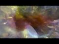 Bracha - "Jacaranda" (rare instrumental, 1990)