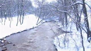 preview picture of video '30.01.2010 Red River Valley... Zaporizhzhja,Ukraine....wmv'