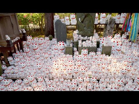 Temple Filled Of 1000 Lucky Cat Statues