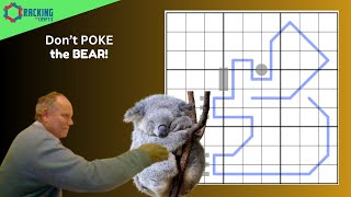 Poking the Sudoku Bear!