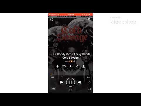 22Gz x Roddy Rich x Leeky Bandz-Cold Savage (Official Audio)