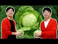 Cabbage