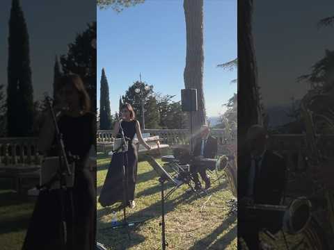 YouTube preview