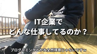 【プログラミング】IT企業でどんな仕事をしているのか？実体験を話します【SE】