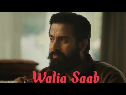 Randheer rai portfolio video11