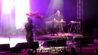 Electric Fields Live at Woodford - 2000 and Whatever