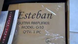 My Esteban Guitar Review