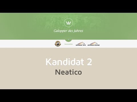 Neatico: Kandidat zur Galopper des Jahres Wahl 2013