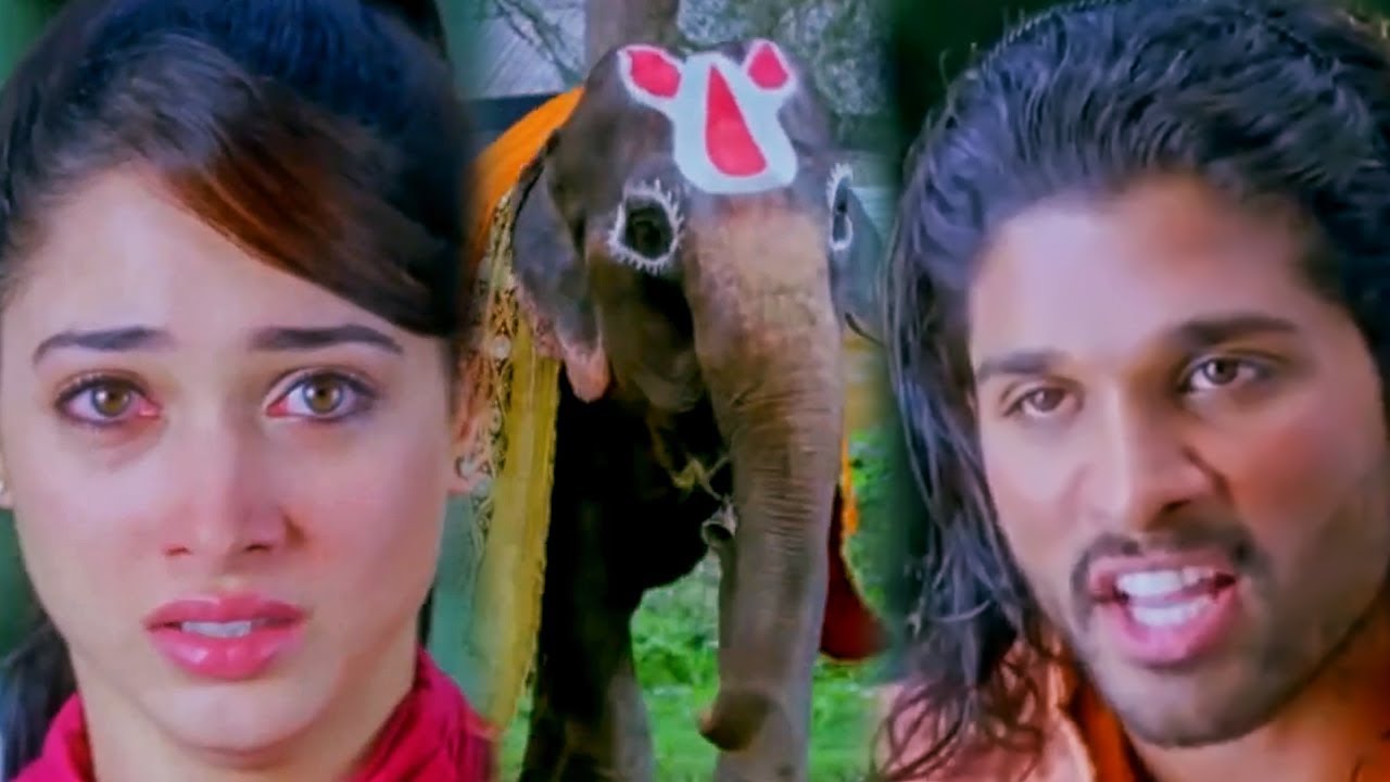 अल्लू अर्जुन ने तमन्ना को इस विशाल हाथी से बचा लिया l Badr